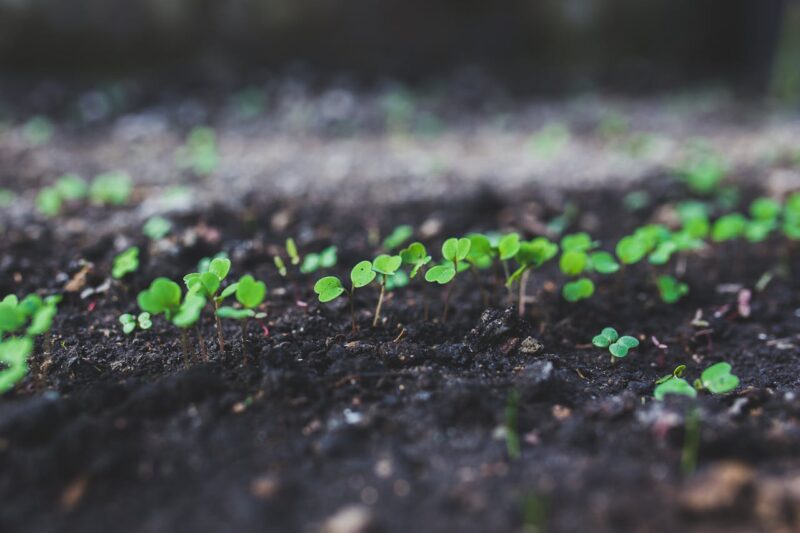 decarbonation